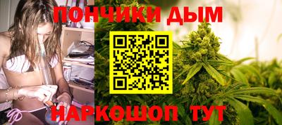 индика Обь