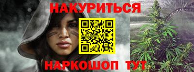 индика Обь