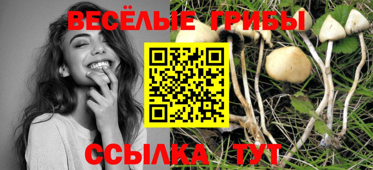 Галлюциногенные грибы прущие грибы Томск