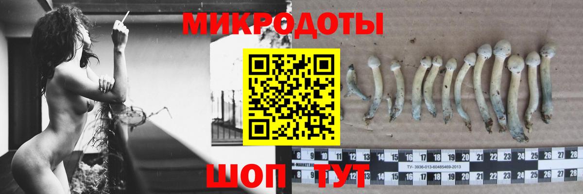 Галлюциногенные грибы ЛСД  Псилоцибиновые грибы Psilocybine cubensis  Томск  Вход с VPN 